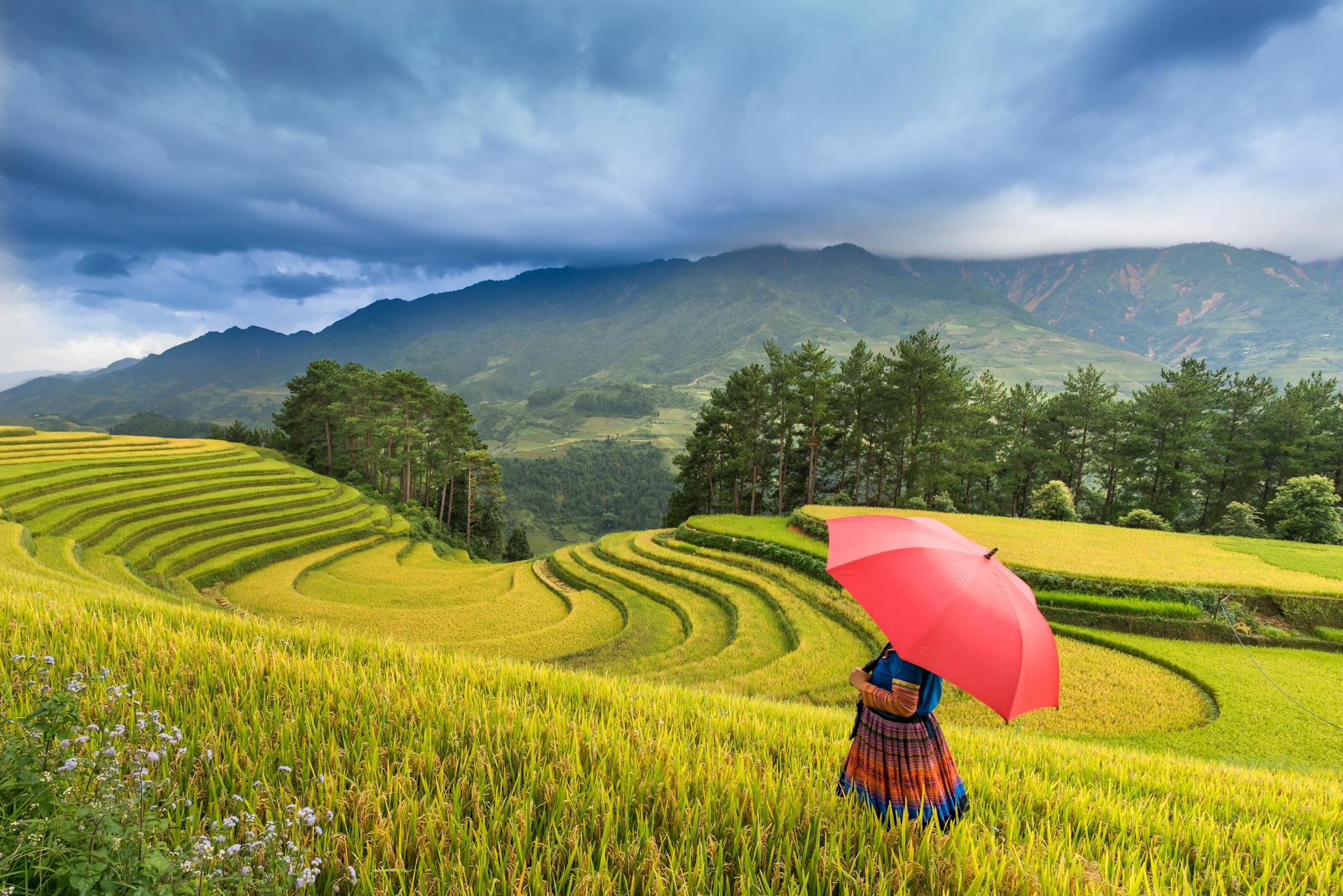Dive into the vibrant charm of Sapa Travel